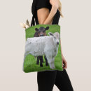 Search for tranquil scene bags Colour image