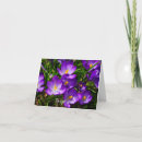 Search for crocuses cards Floral