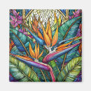 Search for stain magnets Tropical