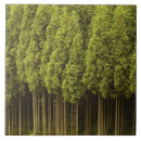 Search for natural world tiles Outdoors