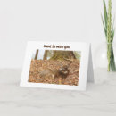 Search for deer funny birthday cards Hunter