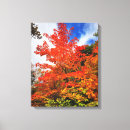 Search for autumn trees canvas prints Summer