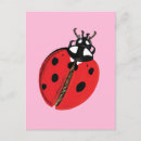 Search for bug postcards Beetle