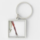 Search for human body part key rings Small business