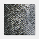 Search for scale magnets Pattern