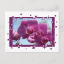 Search for orchids postcards Floral