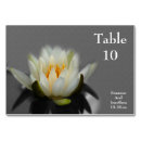 Search for lily table cards Bridal