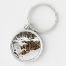 Search for log key rings Snow