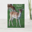 Search for buck birthday cards Deer