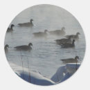 Search for geese stickers Canada goose