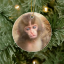 Search for monkeys christmas tree decorations Baby monkey
