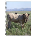 Search for herd photography Cute