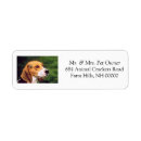 Search for cute beagle return address labels Puppies