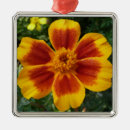 Search for marigold christmas tree decorations Orange