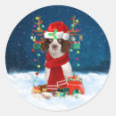 Search for english springer spaniel stickers Pet