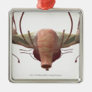 Search for human body part christmas tree decorations Angle