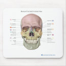 Search for anatomy mousepads Illustration