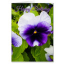 Search for pansies birthday cards Plant