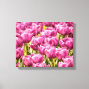 Search for fuchsia flower art Nature