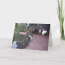 Search for dog cards Nature