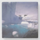 Search for antarctic barware Glacier