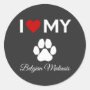 Search for belgian malinois gear stickers Puppy