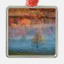 Search for west virginia christmas tree decorations Usa
