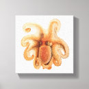 Search for vintage octopus canvas prints Cuttlefish