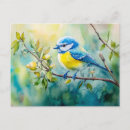 Search for tit postcards Nature