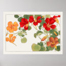 Search for nasturtium posters Red