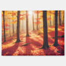 Search for panoramic magnets Landscape