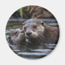 Search for cuddle magnets Animal