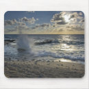Search for cayman electronics Caribbean