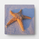 Search for beach life plaques Starfish