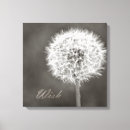 Search for wish canvas prints Dandelion