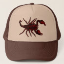 Search for scorpion hats Arachnid