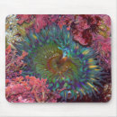 Search for tide pool electronics Sea