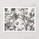Search for noir postcards White