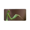 Search for pray return address labels Cute