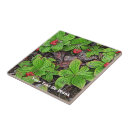 Search for berries tiles Flora