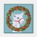 Search for alpaca magnets Blue