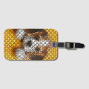 Search for beagle accessories Canine