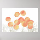 Search for apricot tree posters Apricots