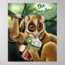 Search for endangered species posters Primate