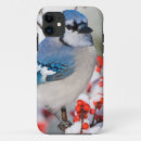 Search for common iphone cases Bird
