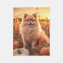 Search for pomeranian blankets Animal