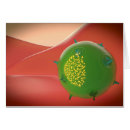 Search for pathogen Bacteria