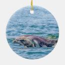 Search for dolphin christmas tree decorations Porpoise