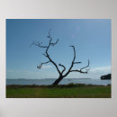 Search for poet posters Nature
