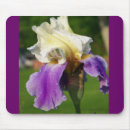 Search for iris mousepads Flowers